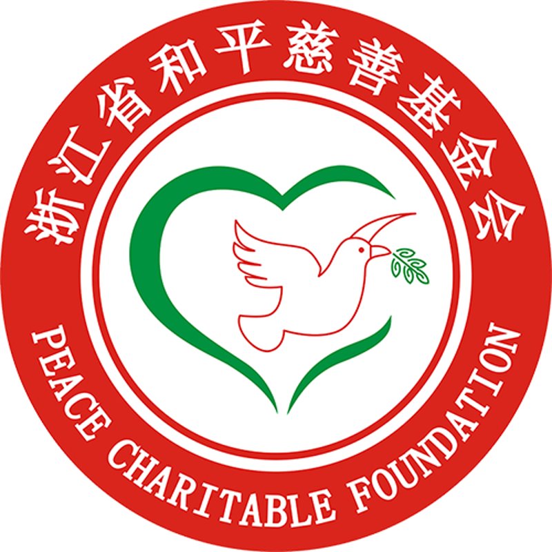 公益捐赠指南:为爱心插上翅膀